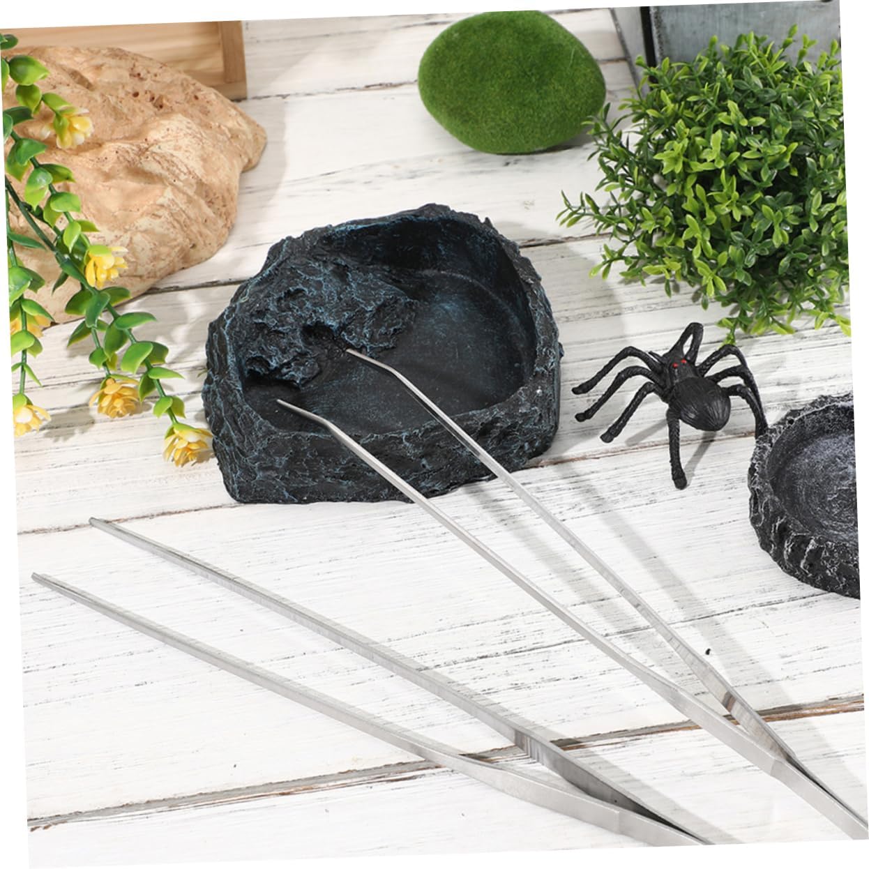 Alipis Tortoise Water Dish Reptile Water Bowls Snake Feeding Dish Bearded Multi-Purpose Feeder