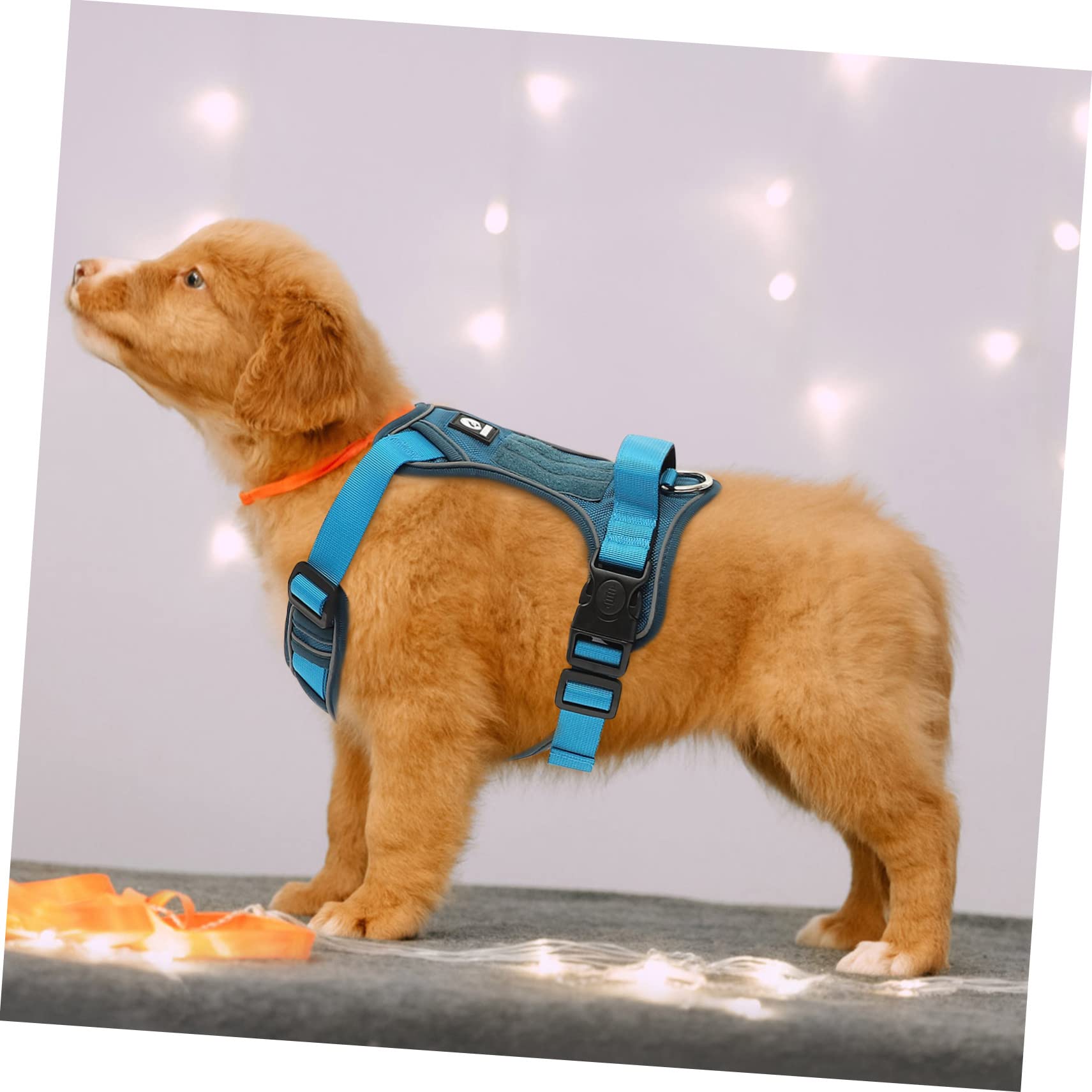 HIGH 5 DOGS 小型犬 調整可能 ハーネス リードセット HIGH 5 DOGS 小型犬 調整可能 ハーネス リードセット