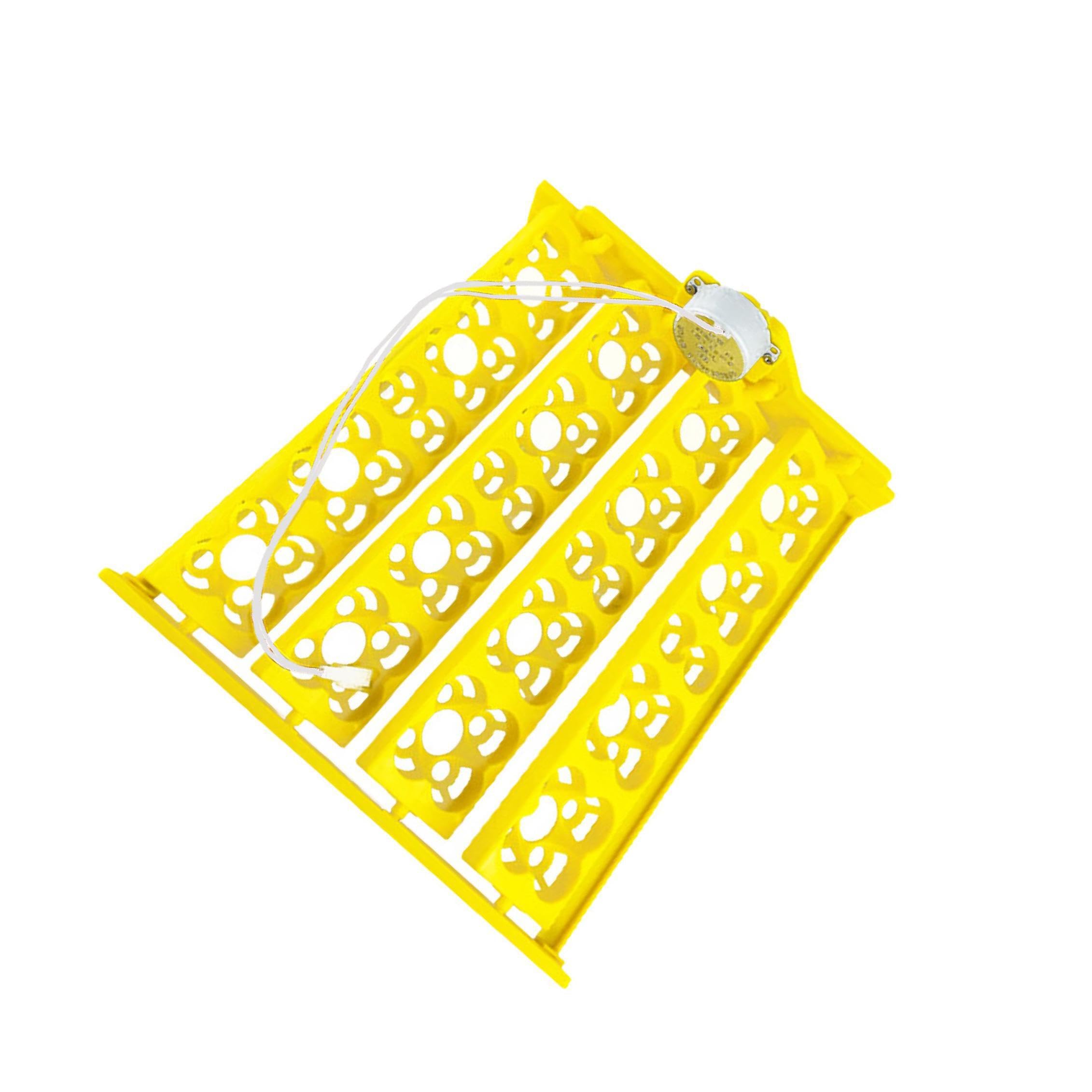 Volteador automático de huevos para incubadora de 12V y capacidad de 16 huevos