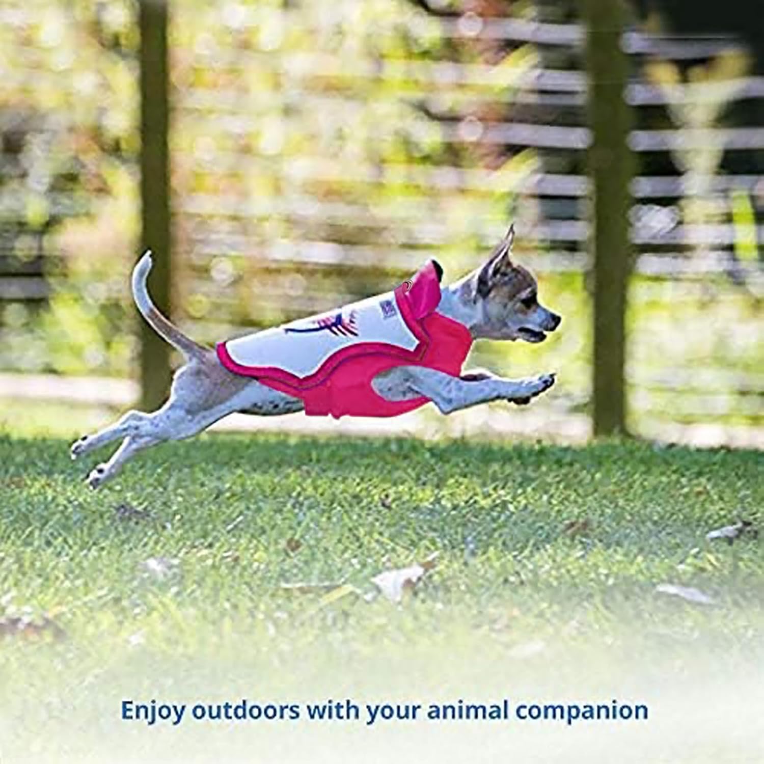 Puncture Resistant Anti Coyote Dog Harness for Small Dogs .Made in USA— Large, 12-21 lbs, Chest 17.5 to 23"(Pink)