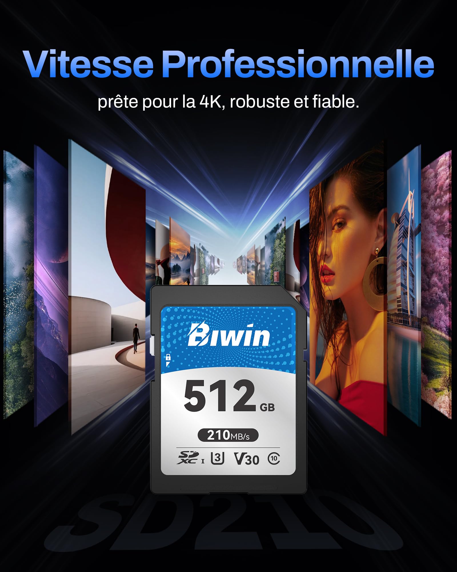 Carte SD Biwin SD210, 512 Go, SDXC V30 UHS-I, Classe 10, jusqu'à 210 Mo/s en Lecture. Robuste, Compatible 4K UHD. Idéale pour créateurs.
