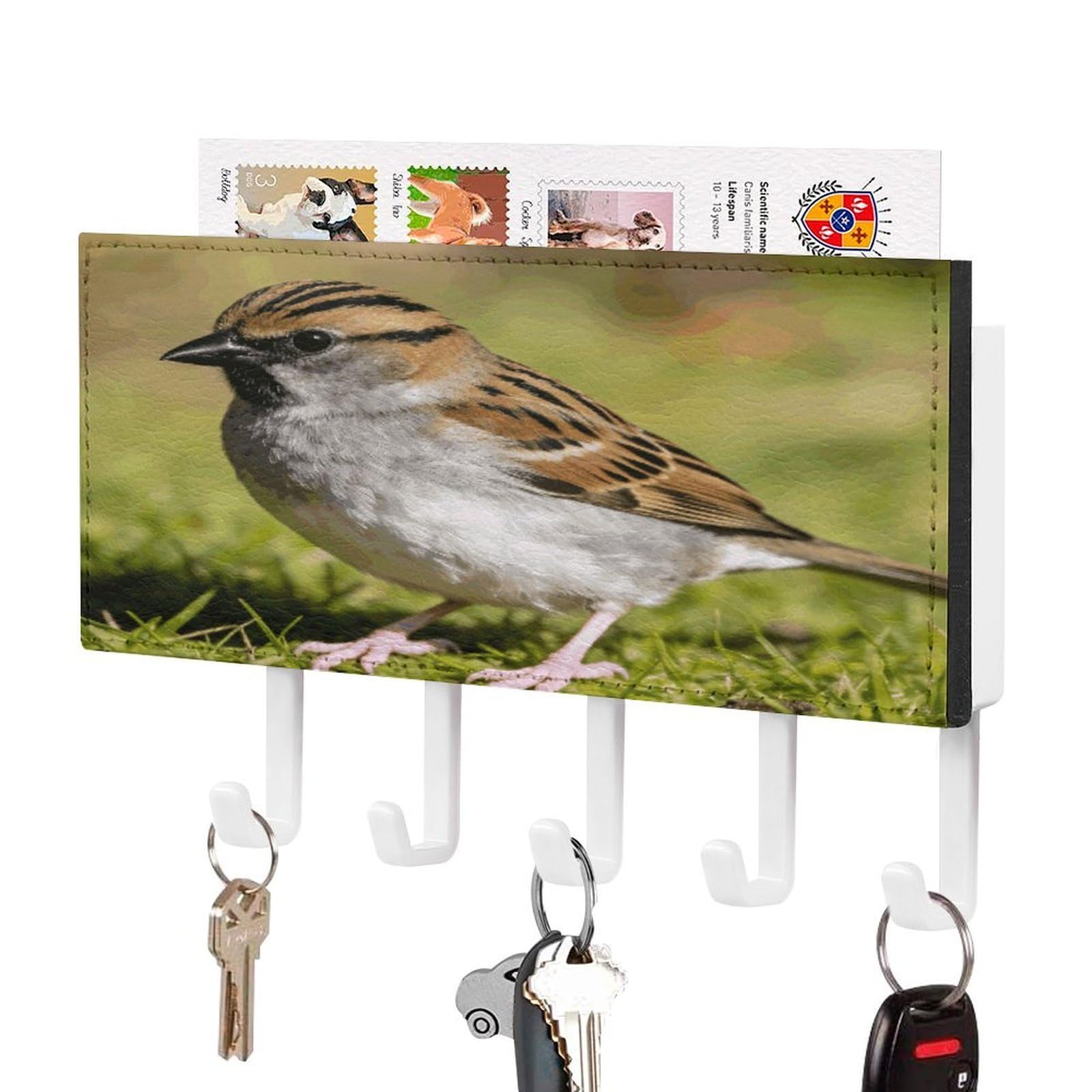 MUSM Sparrow Key Holder for Wall,Mail Organizer Wall Mount with 5 Hooks,Easy Installation Key Rack for Home Decor, Hallway, Entryway, Appartment