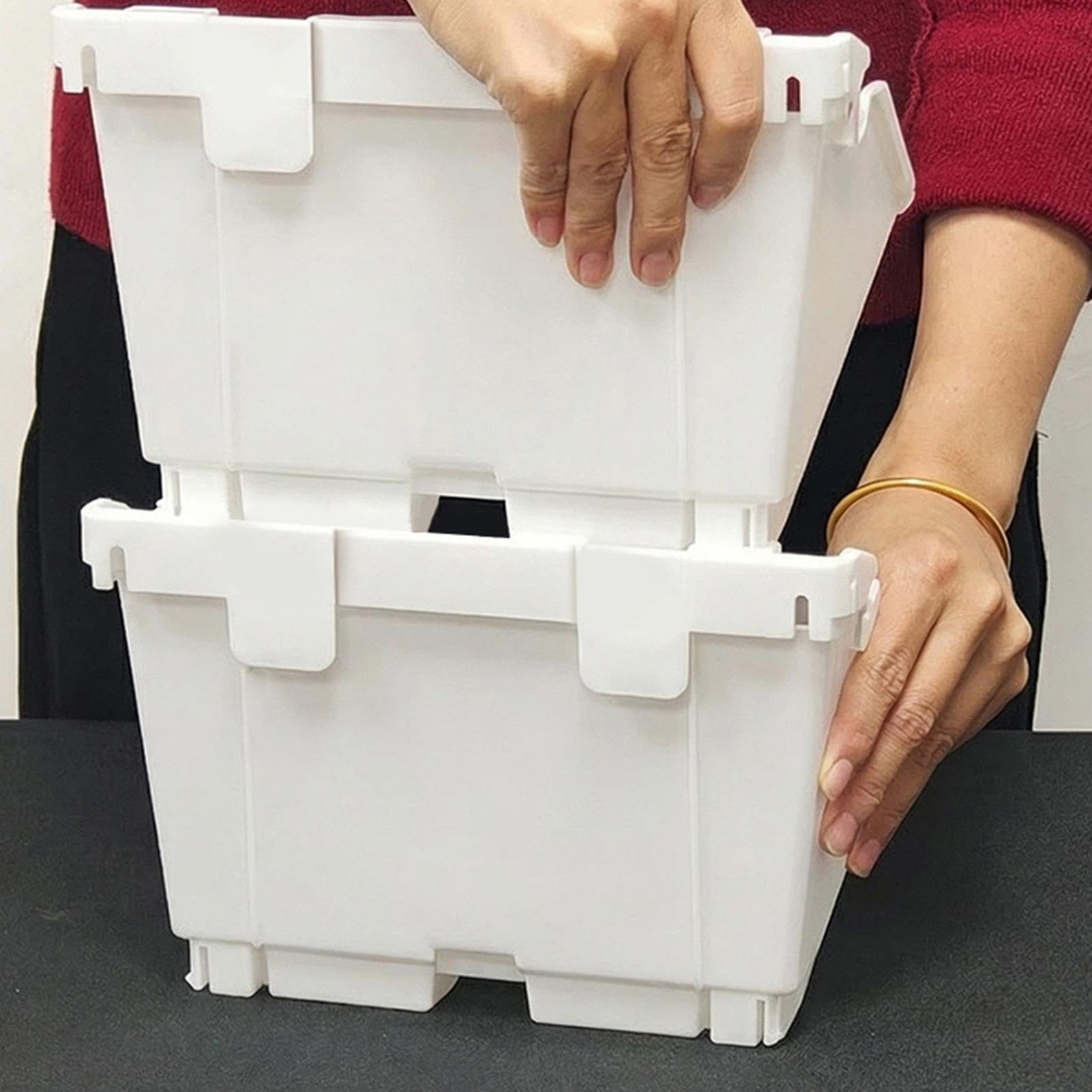 Jardinière murale verticale auto-arrosage pour l'intérieur