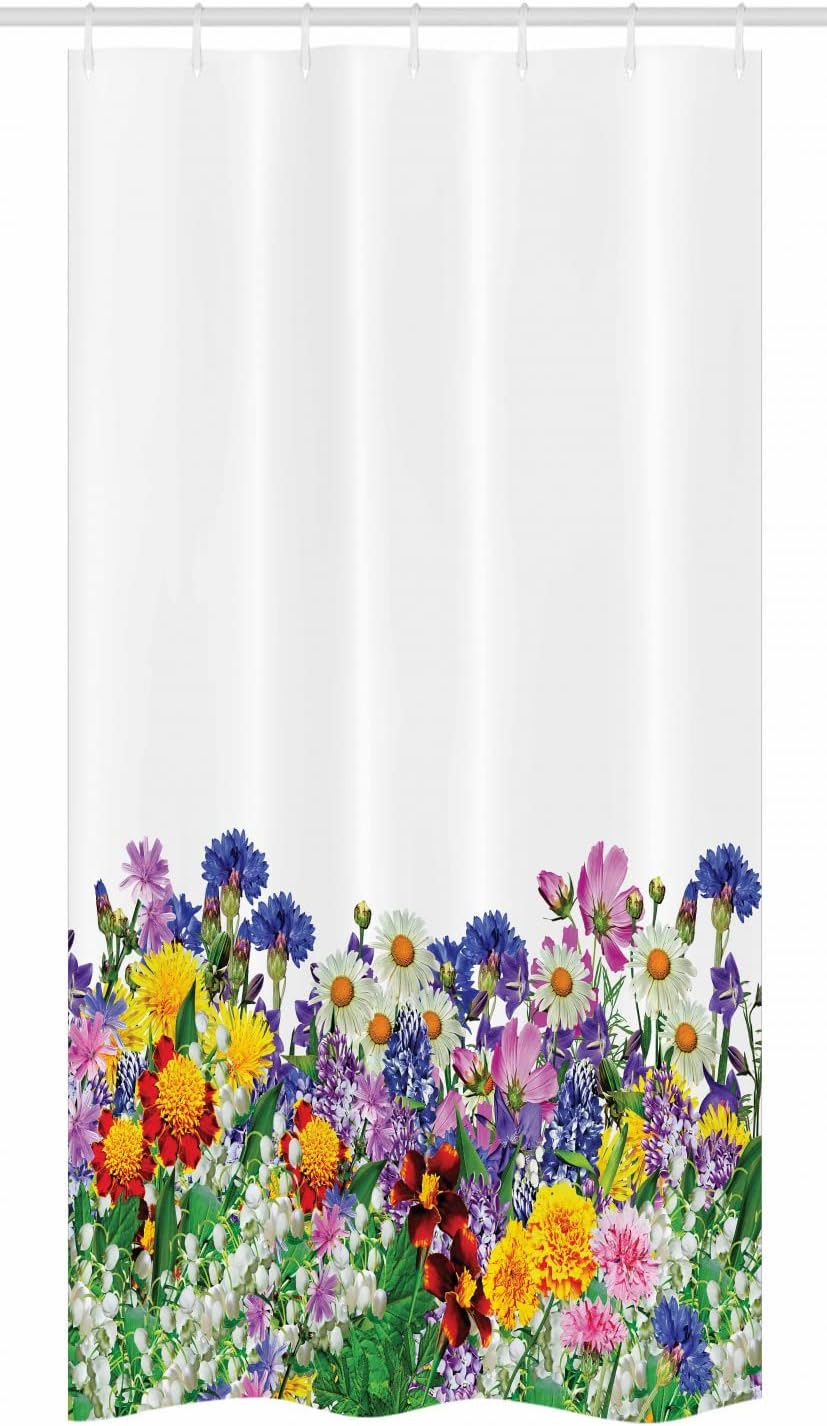 Ambesonne Flower Stall Shower Curtain, Floral Garden Daisies Violets and Tulips Nature Colored Theme Print, Fabric Bathroom Decor Set with Hooks, 36" W x 72" L, Multicolor