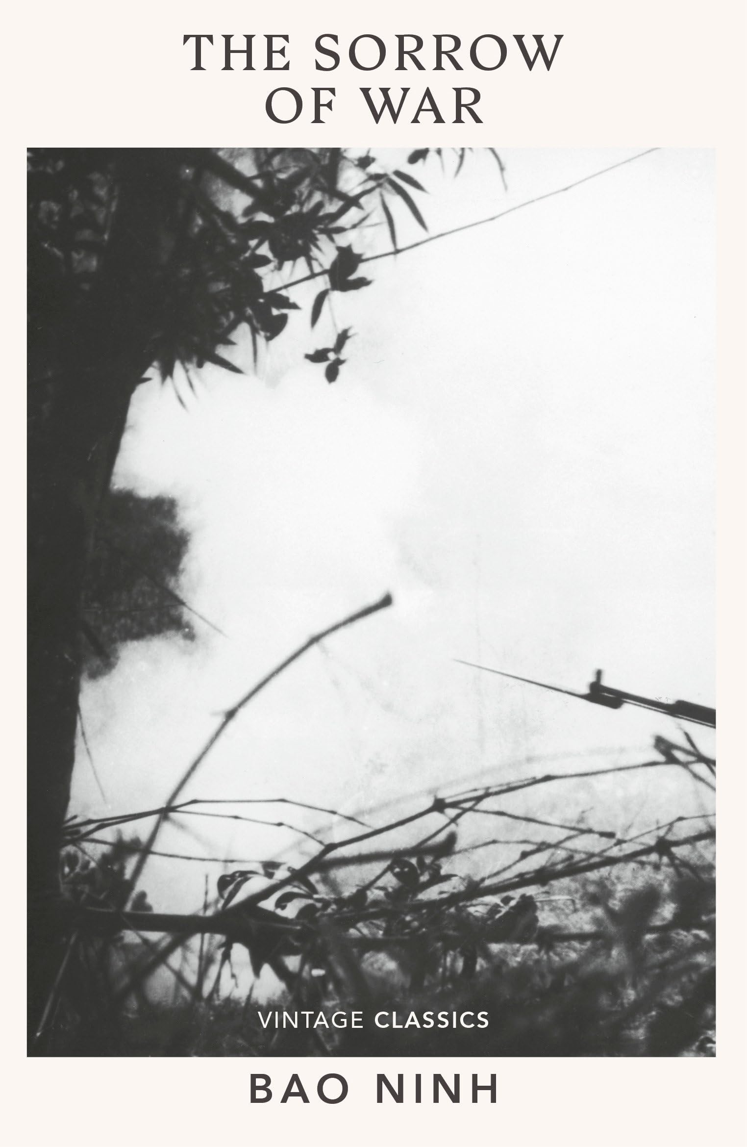 The Sorrow of War: A searing Vietnam War novel set between the battlefields of 1969 and post-war Hanoi. (Against War)
