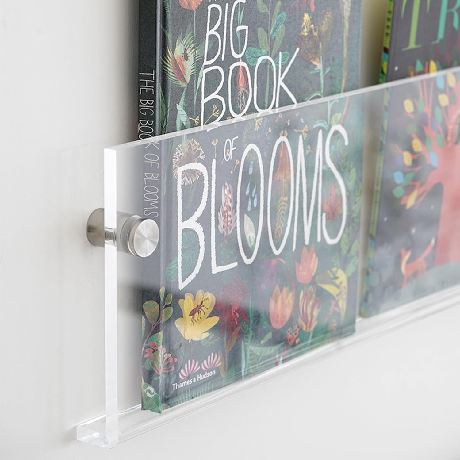 ROYALITA 2-Pack Acrylic Magazine Holder Vinyl Records Holder, Display Floating Bookshelves Wall Mounted, Nursery Book Shelves Wall Decor Hanging Magazine Holder for Waiting Room, Living Room, Office 24 Inch-2Pack