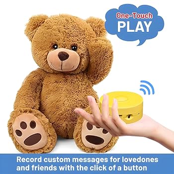 EZSound Voice Recorder For Stuffed Animal | 2 Pack - 30 Seconds Push