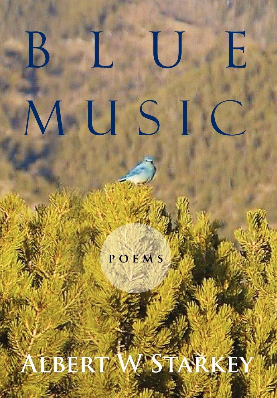 Blue Music: Poems