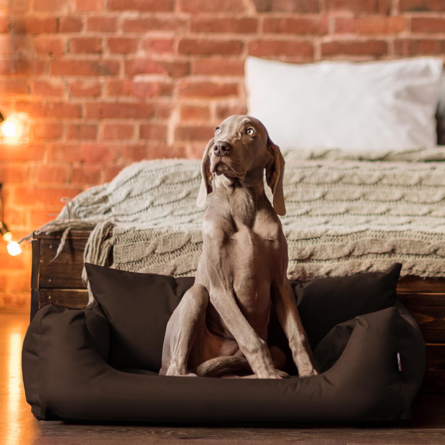 tierlando® NEMO Hundebett aus robustem Oxford 600D, Hundesofa mit herausnehmbarer Komfort-Matratze und waschbarem Bezug, für kleine & mittelgroße Hunde Größe: 65x50cm | Farbe: 01 Braun