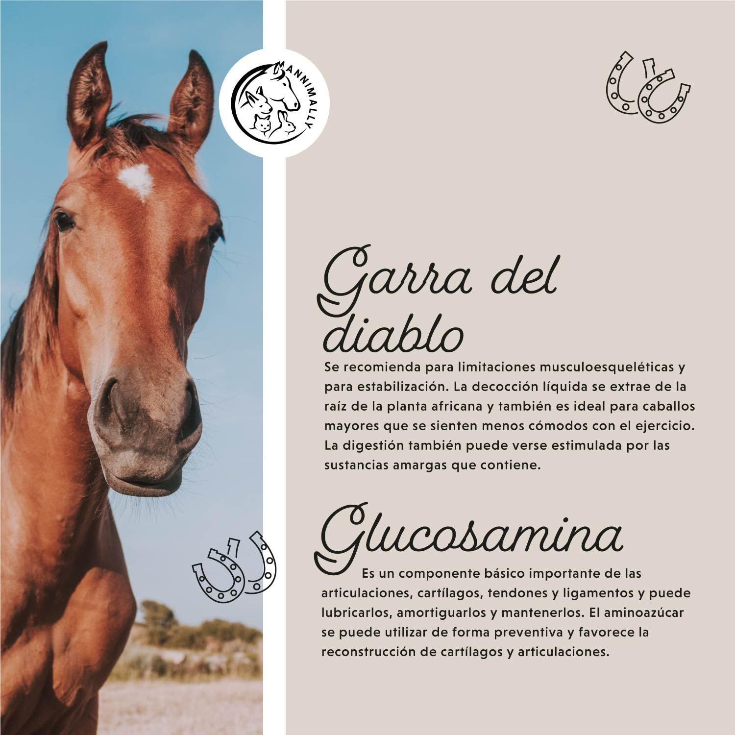 Annimally Condroprotector para Caballo 1000ml con Garra del Diablo, glucosamina Caballos y MSM Caballos (azufre) en Forma líquida - Complemento alimenticio Caballos - Alternativa al Polvo