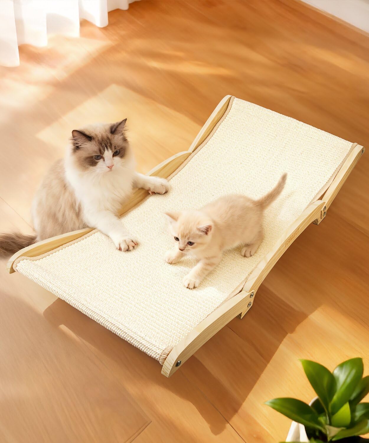 Cat Scratcher Bed with Sisal & Solid Wood Base, Extra Large Cat Scratch Pad for Scratching, Lounging & Sleeping, Stable Anti-Tip Design, Paint-Free & Eco-Safe, Easy Assembly, 34”