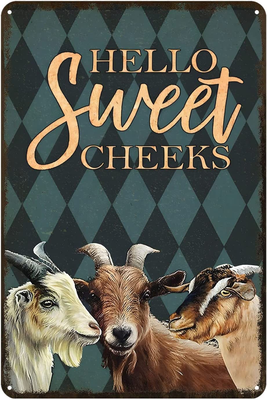 rayprint Funny Metal Sign for Toilet Hello Sweet Cheeks Tin Signs Vintage Home Bar Cafe Club Wall Decor Art Sign Metal Decor Wall Sign Wall Poster Wall Decor Door Plaque Tin Sign 8x12 Inch