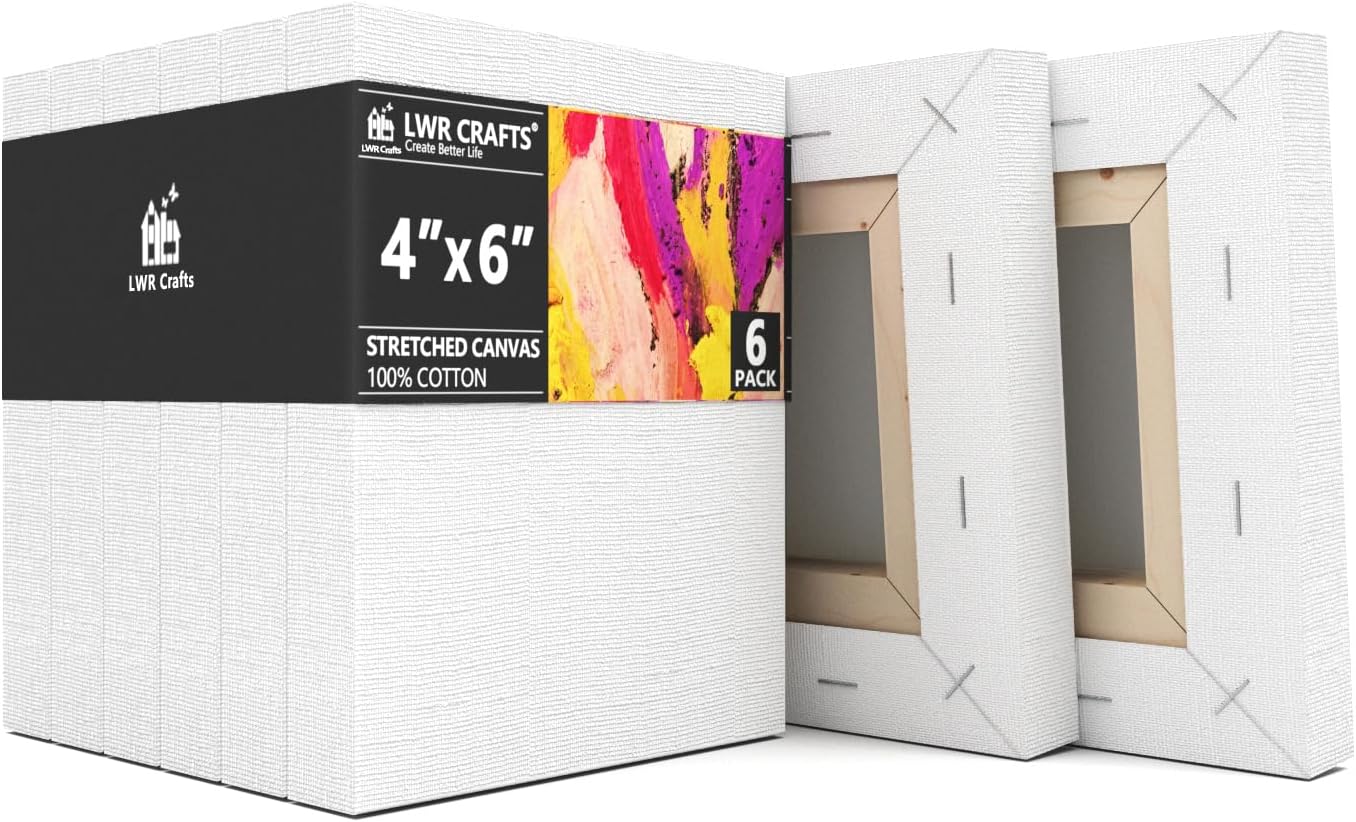 LWR CRAFTS Stretched Canvas 4" X 6" Pack of 6