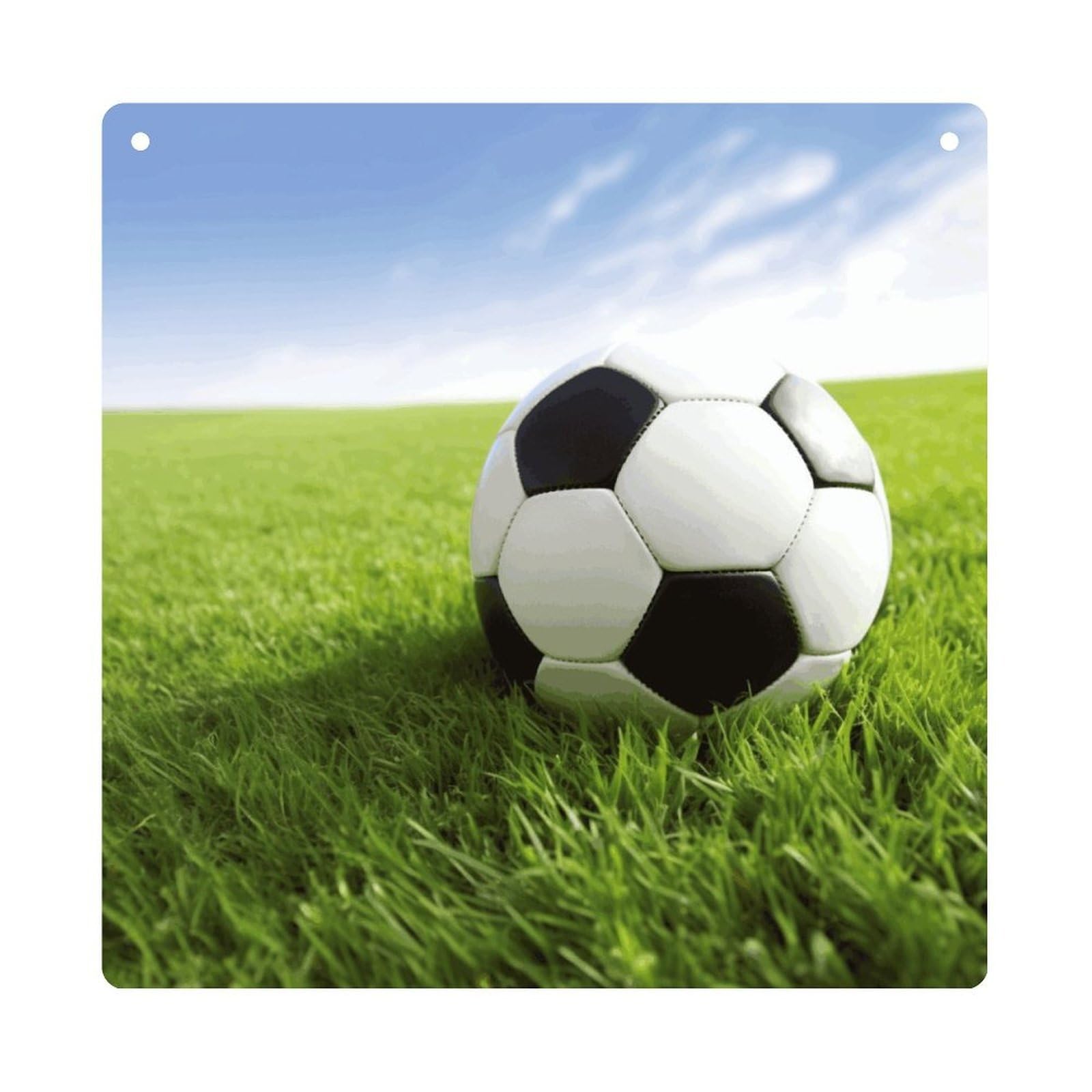 Adfgyerh Style Soccer Ball On Grassy Hanging Ornaments Window Hanging Modern Acrylic Decor For Living Room Bedroom Dining Room Hallway Office Wall Decor, 8X8 In