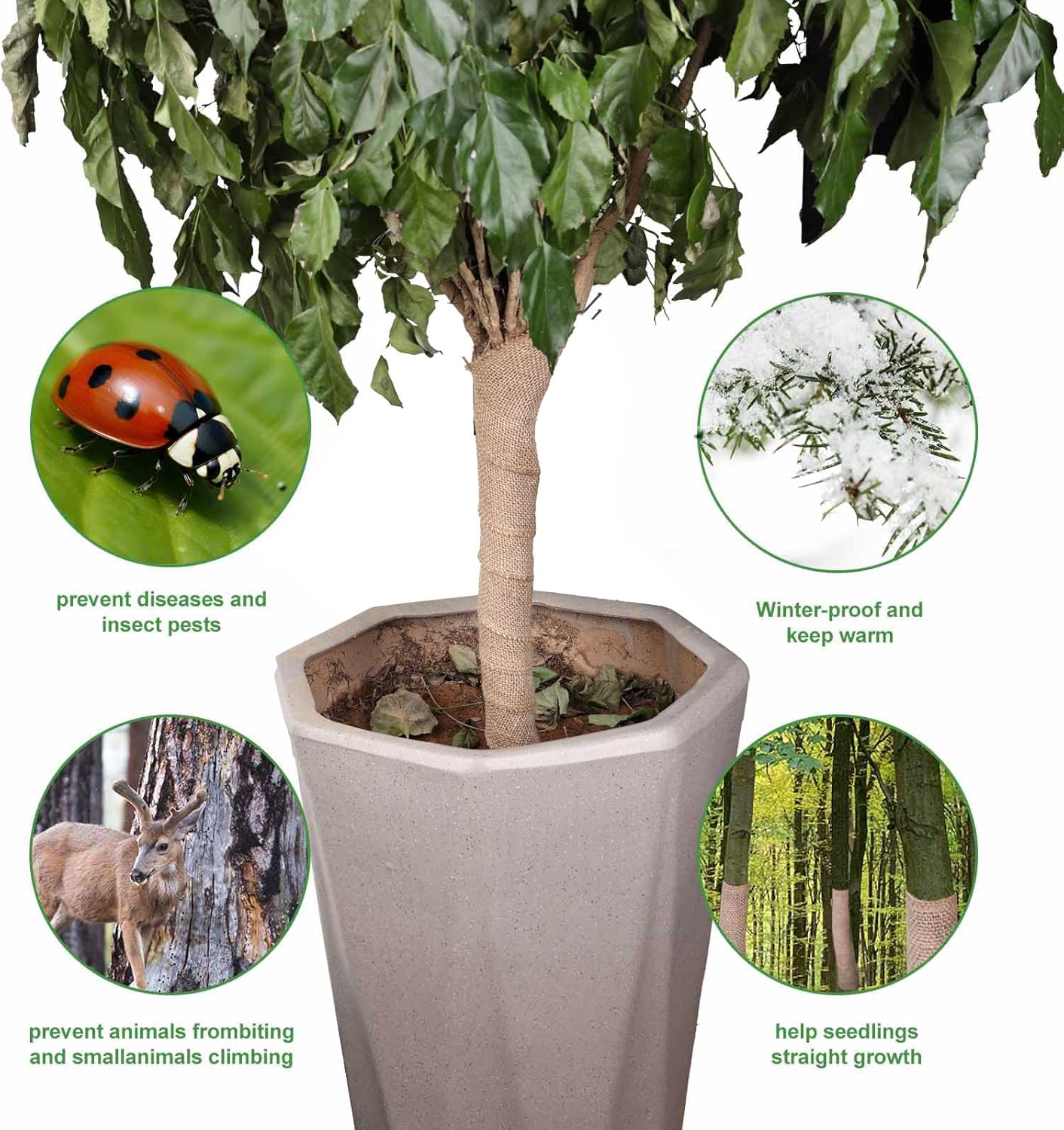 Agfabric Natural Burlap Fabric Roll,48 inch X 50 Feet Tree Wraps for Winter,Burlap Plant Covers for Trees and Shrubs Winter Protection,Garden Fabric