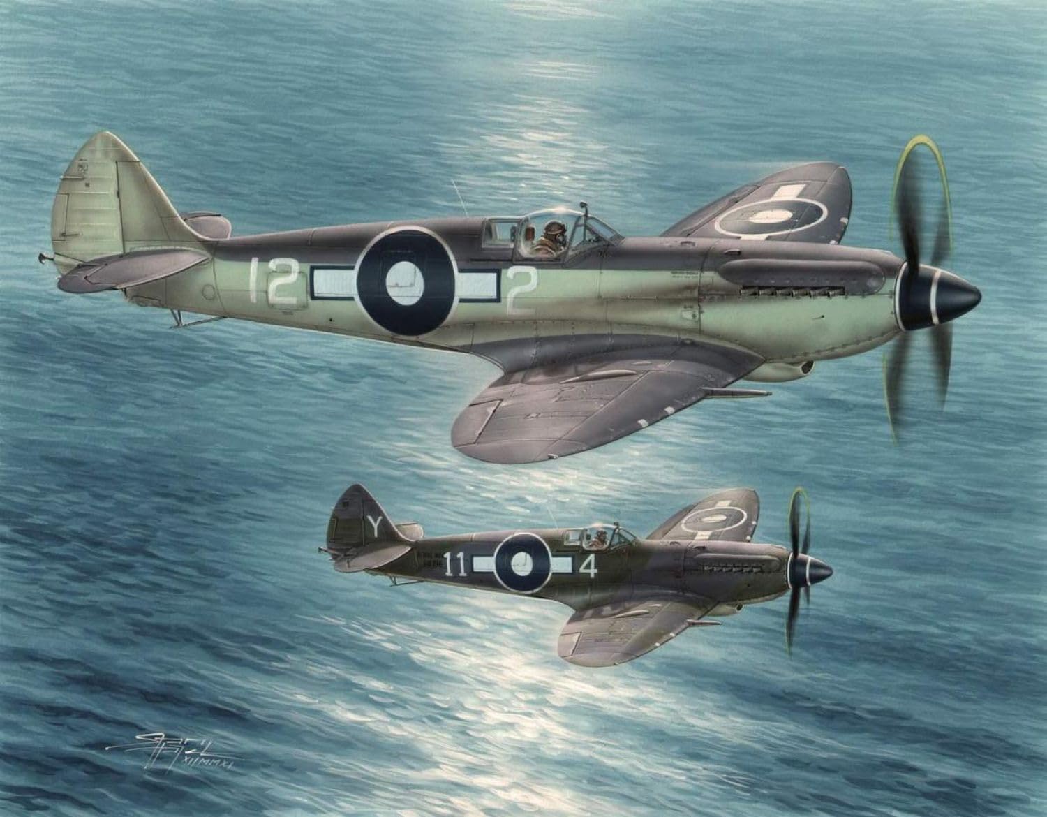 Amazon | スペシャルホビー 1/48 イギリス スーパーマリン シー