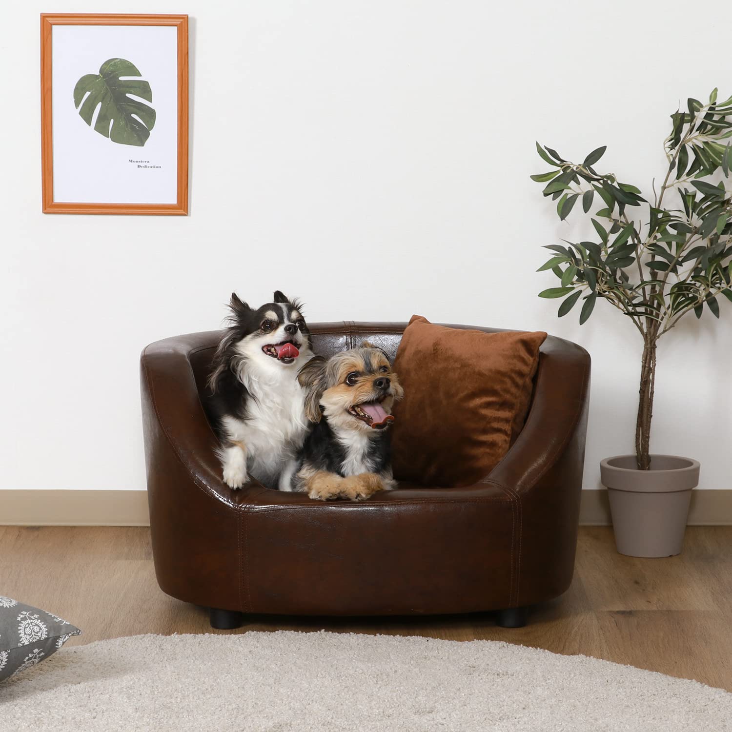 犬ベッド　ソファ Amazon | ZSQ 犬用ソファ、可動クッション付きペットソファ