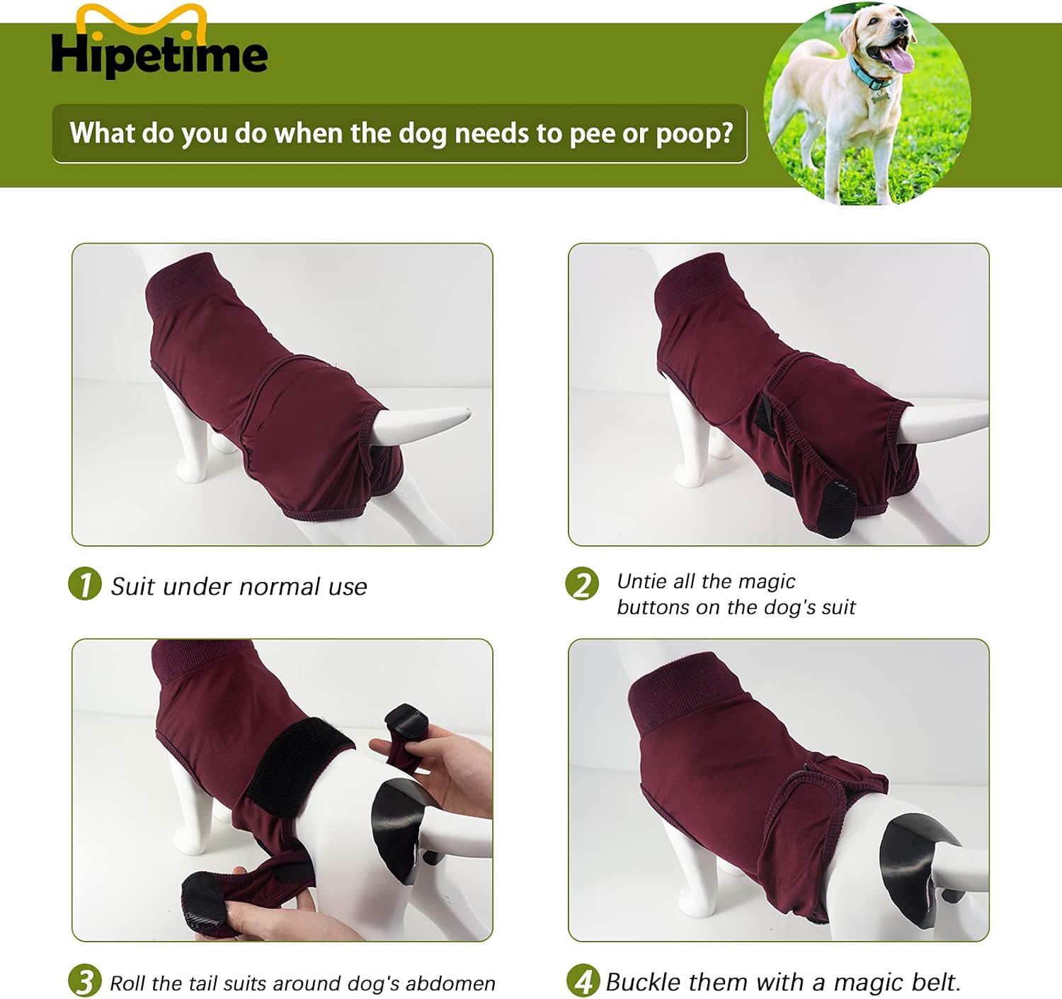Hipetime Recovery Suit for Dog Cat After Surgery Substitute ECollar