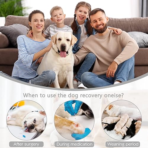 Miniatura 5 de Etdane Traje de recuperación para perros hembras y machos, enterizo para cirugía, traje quirúrgico después de esterilizar, trajes de cuerpo