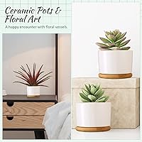 Vista 7 de Cindeer 12 juegos de macetas de cerámica para suculentas, macetas de cactus con bandeja de bambú, maceta cilíndrica pequeña con platillos de bambú