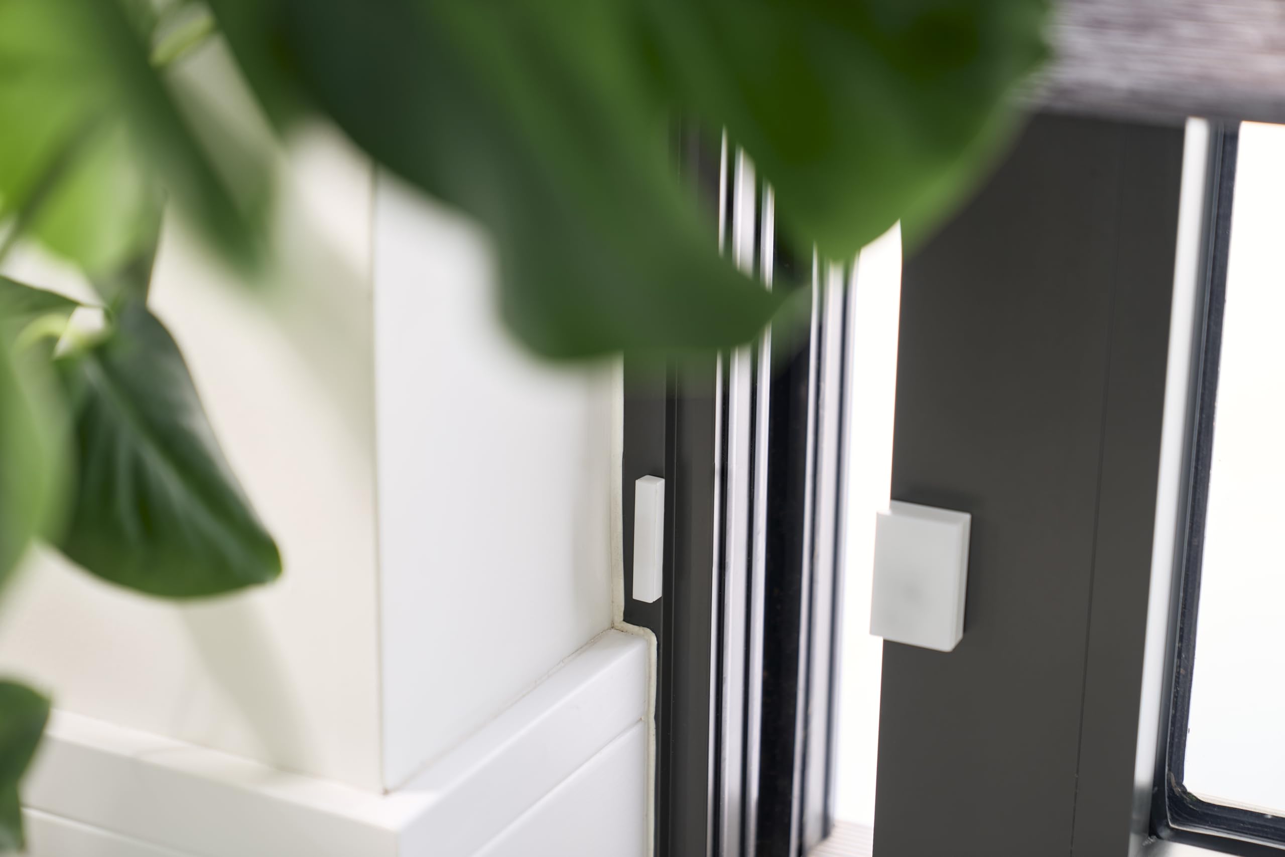 Schneider Electric Wiser Fenster-/Türsensor, Steuerung per App oder manuell, Zigbee, über Hub kompatibel mit Matter, Alexa, Google, Apple, Artikelnummer CCT591012