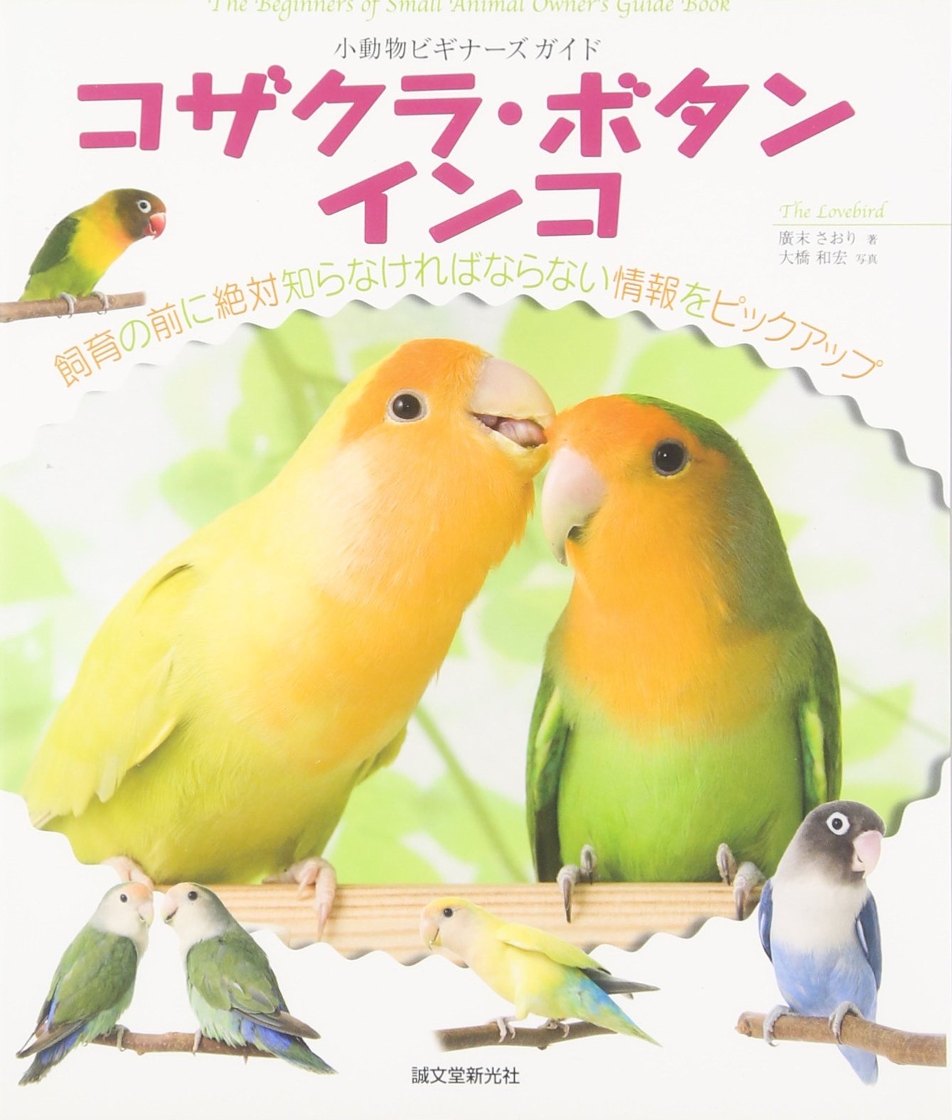 Amazon.co.jp: 廣末 さおり: 本、バイオグラフィー、最新