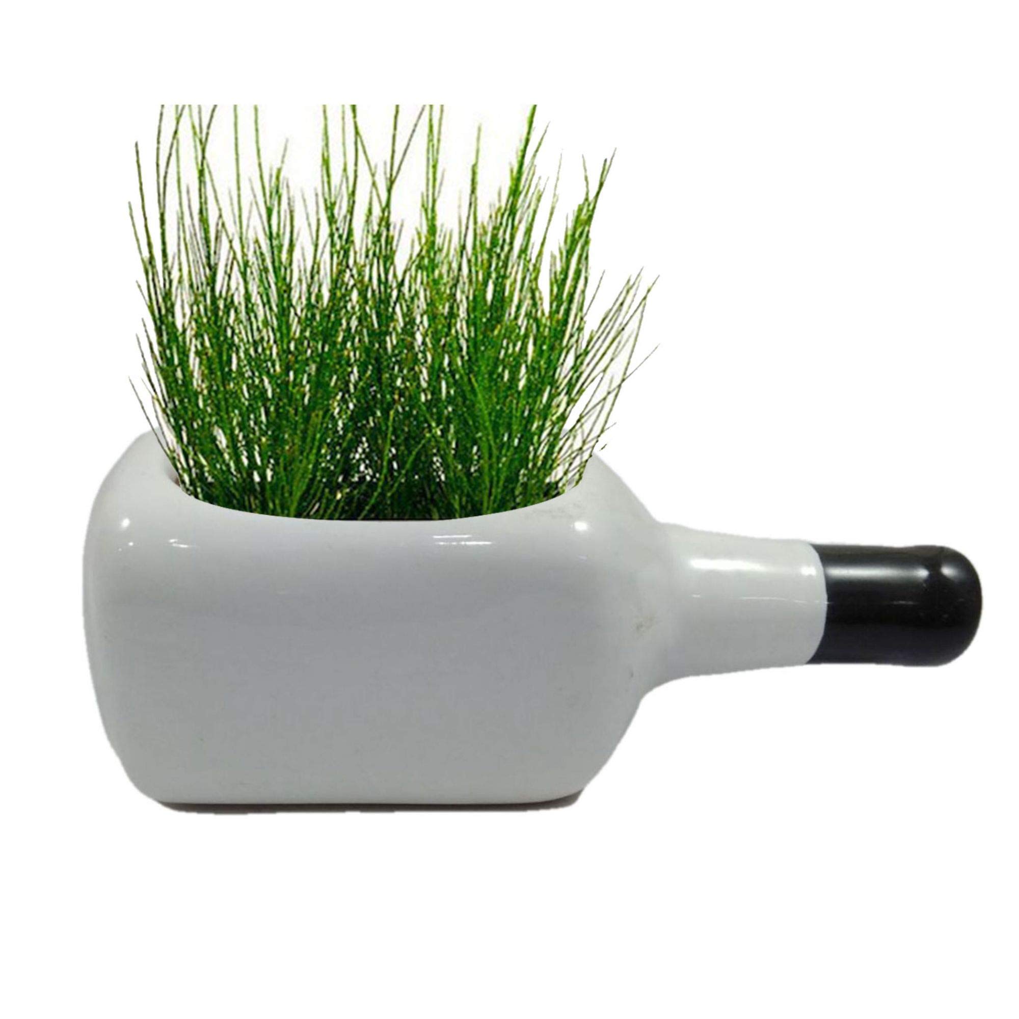 India Meets India Ceramic Bottle Shaped Planter [White Color], Decorative Planter for Home Décor/Living Room/Office/Table Top/Dining Area and Windowsill Décor, 8 inches (B07SHTHMZX) Amazon Price History, Amazon Price Tracker