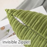 Vista 11 de UGASA - Juego de 2 fundas de almohada de terciopelo a rayas, funda decorativa para cojín con cremallera oculta para el hogar, sofá, dormitorio