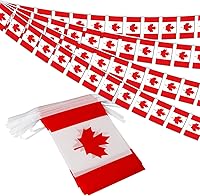 Vista 26 de Banderín de bandera de Colombia – 38 banderas, 42 pies, pequeñas banderas colombianas para decoración del país, escuela, fiesta, eventos deportivos