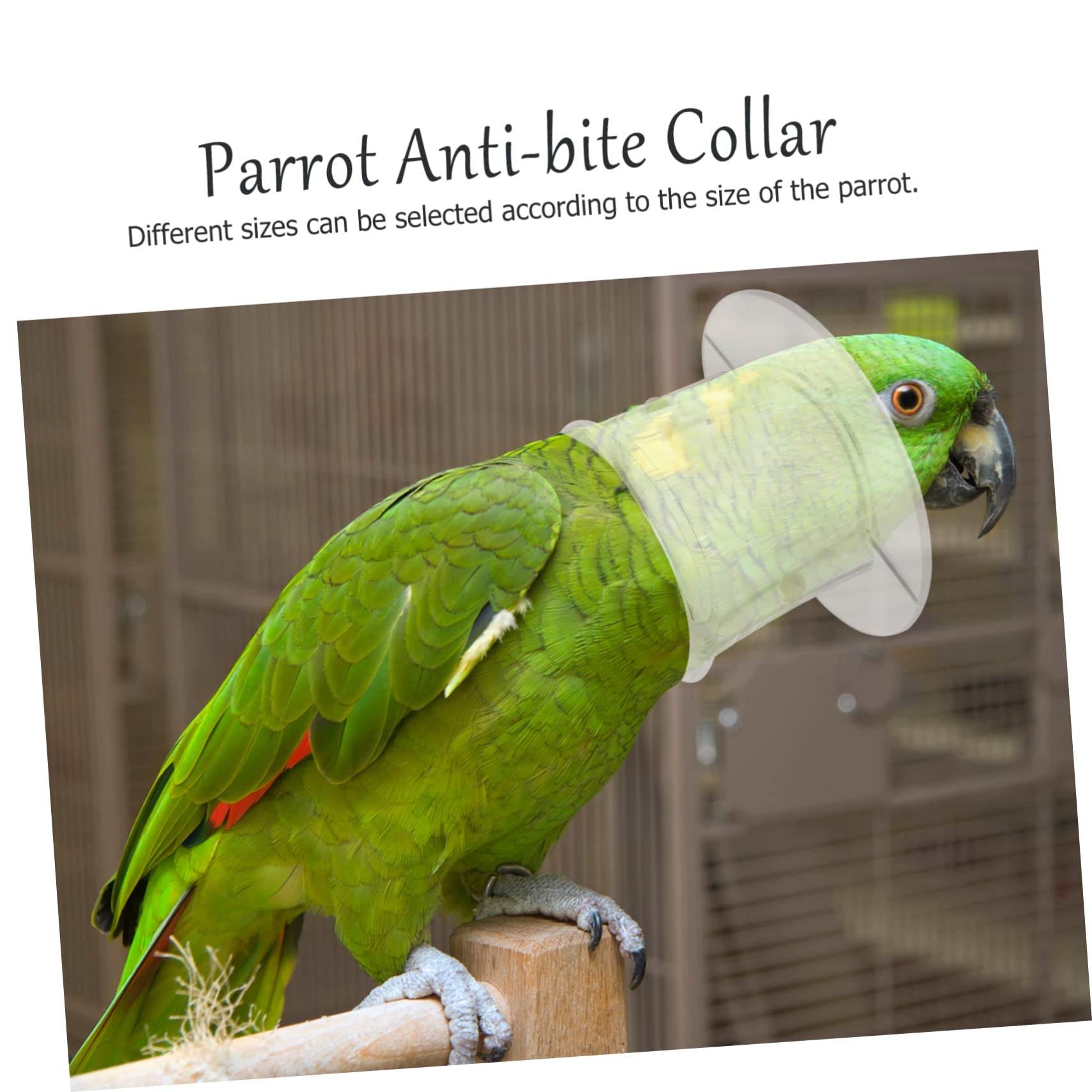 Sosoport 10piezas Collar para y Aves Anti-mordida Restricción De para Periquitos y