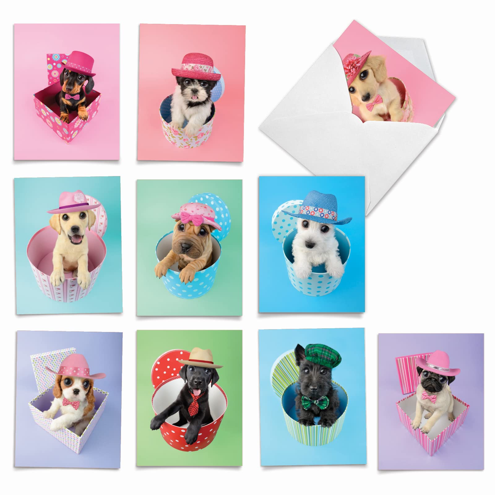 Best Card Co 10 Mini Assorted Blank Notecards Hat Dogs M2955OCB