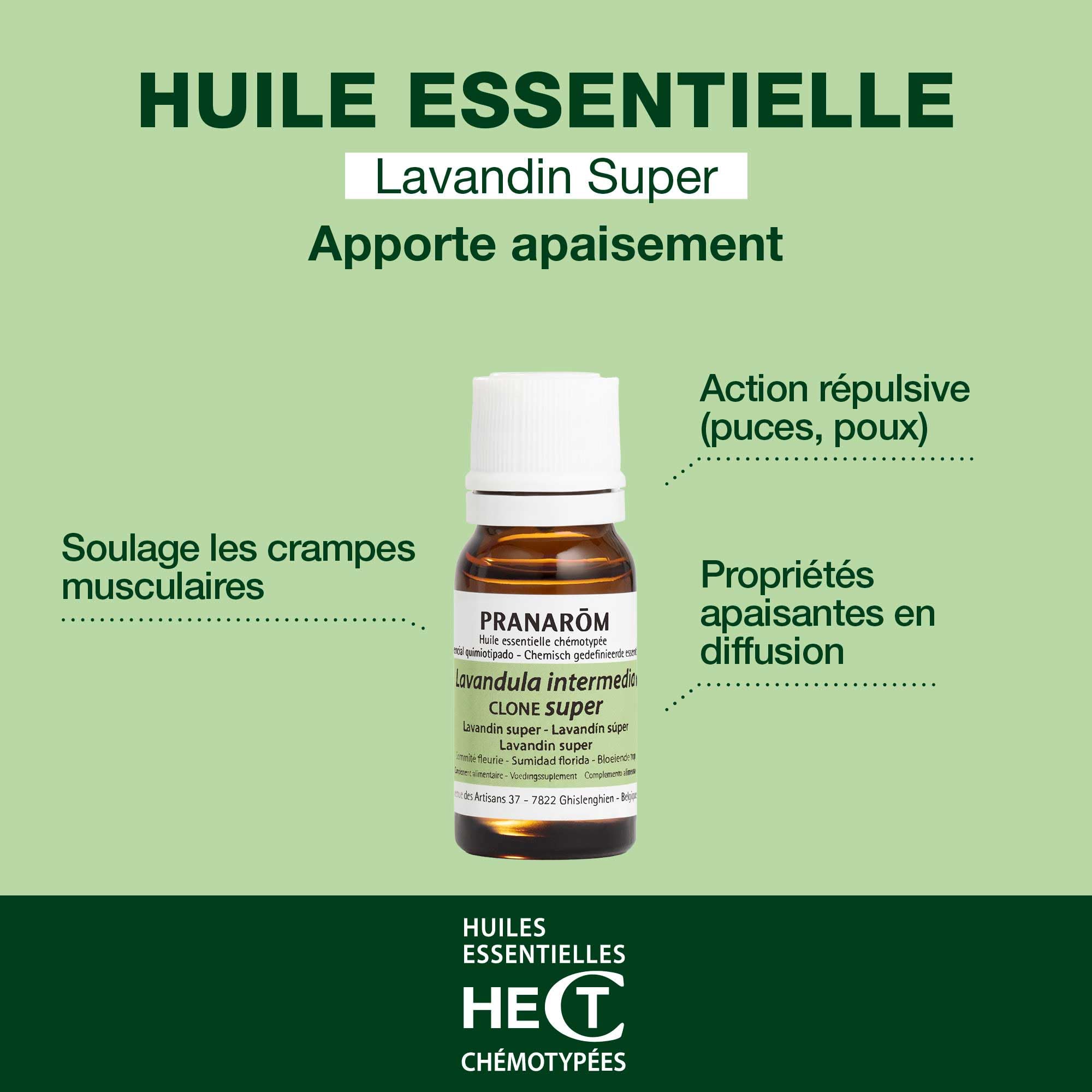 PRANAROM Lavandin super olejek eteryczny AEQT, 10 ml