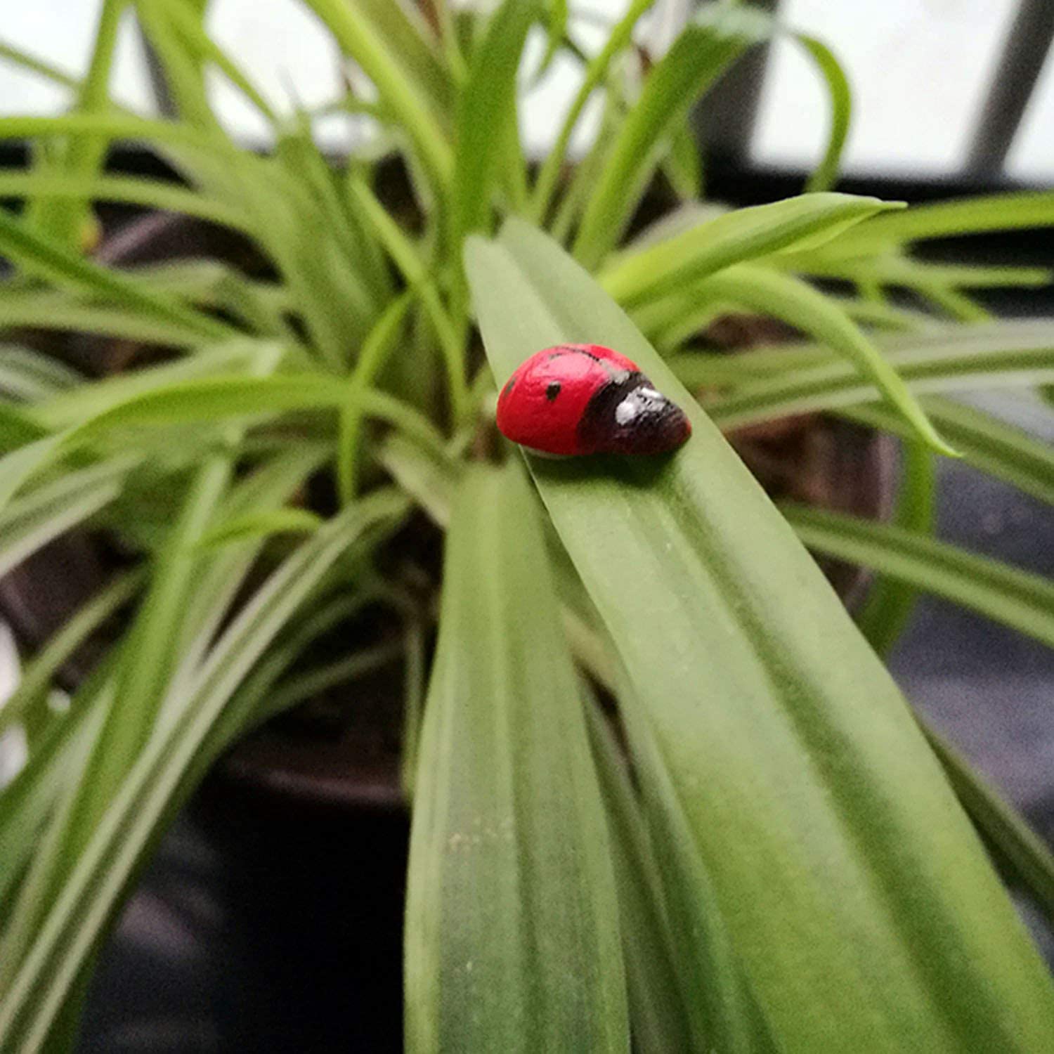 60 Api E Coccinelle Legno Autoadesive - Decorazioni Artigianato, Portafortuna, Per Feste E Matrimoni - Foto 2