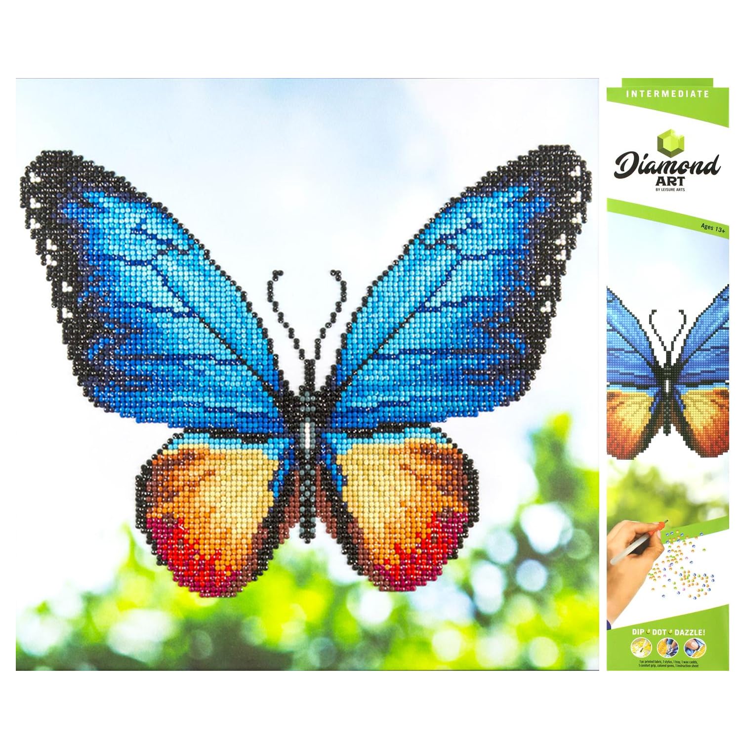 Amazon.com: Leisure Arts DAK Diamond Art Kit 12x12 Intermediate