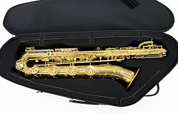 Amazon | ヴィヴァーチェ バリトンサクソフォン・セミハードケース