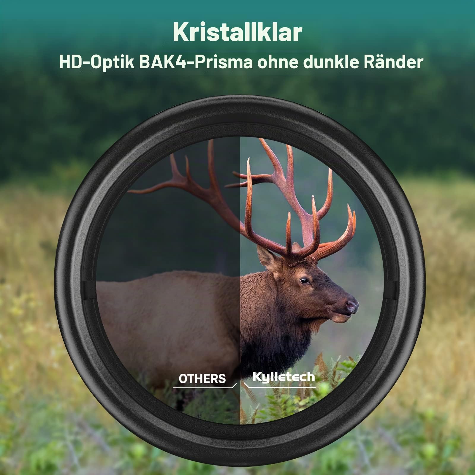 Kylietech Fernglas 12x42 HD Kompakte Ferngläser wasserdicht für Vogelbeobachtung, Jagd, Wandern, Sightseeing, FMC-Linse Feldstecher inkl. Tragetasche, Tragegurt und Smartphone-Adapter