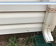 Review Image by Craig M Craig M