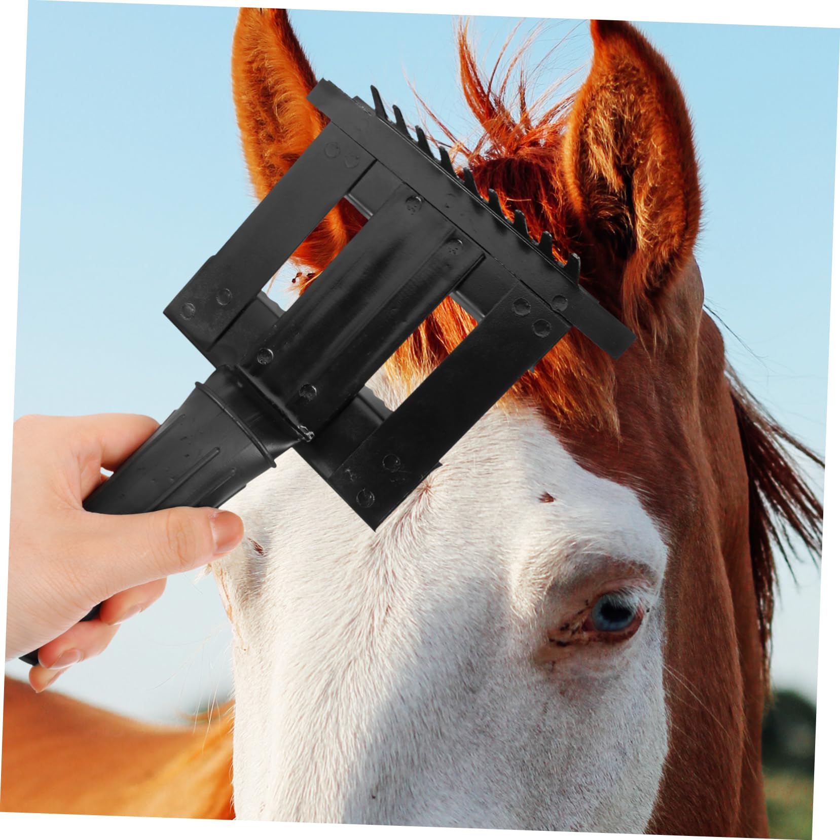BESPORTBLE 4 Pz Rastrello Antiprurito Raschiatori Per Pellicce Di Bestiame Pratico Pettine in Crine Di Cavallo Spazzola Per Di Animali Pettine Di Crine Di Cavallo Black Metallo