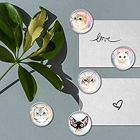 Vista 4 de 12 imanes de cristal para nevera, lindos gatos, imanes decorativos para refrigerador, para cocina, oficina, pizarra, gabinete y lavavajillas