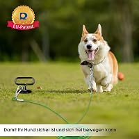 Kamfwert Erős Talajhorgony Nagyobb Kutyáknak - Kert, Strand, Park 5