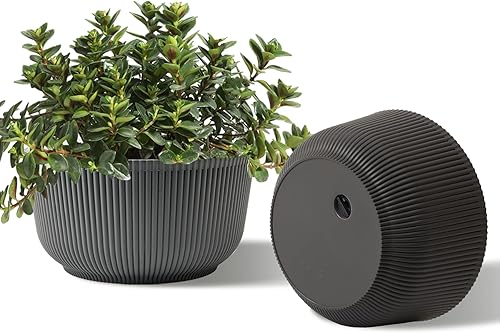Miniatura 12 de T4U Macetas de riego automático de 6 pulgadas para plantas de interior, paquete de 6 macetas para plantas, maceta de riego automático para plantas
