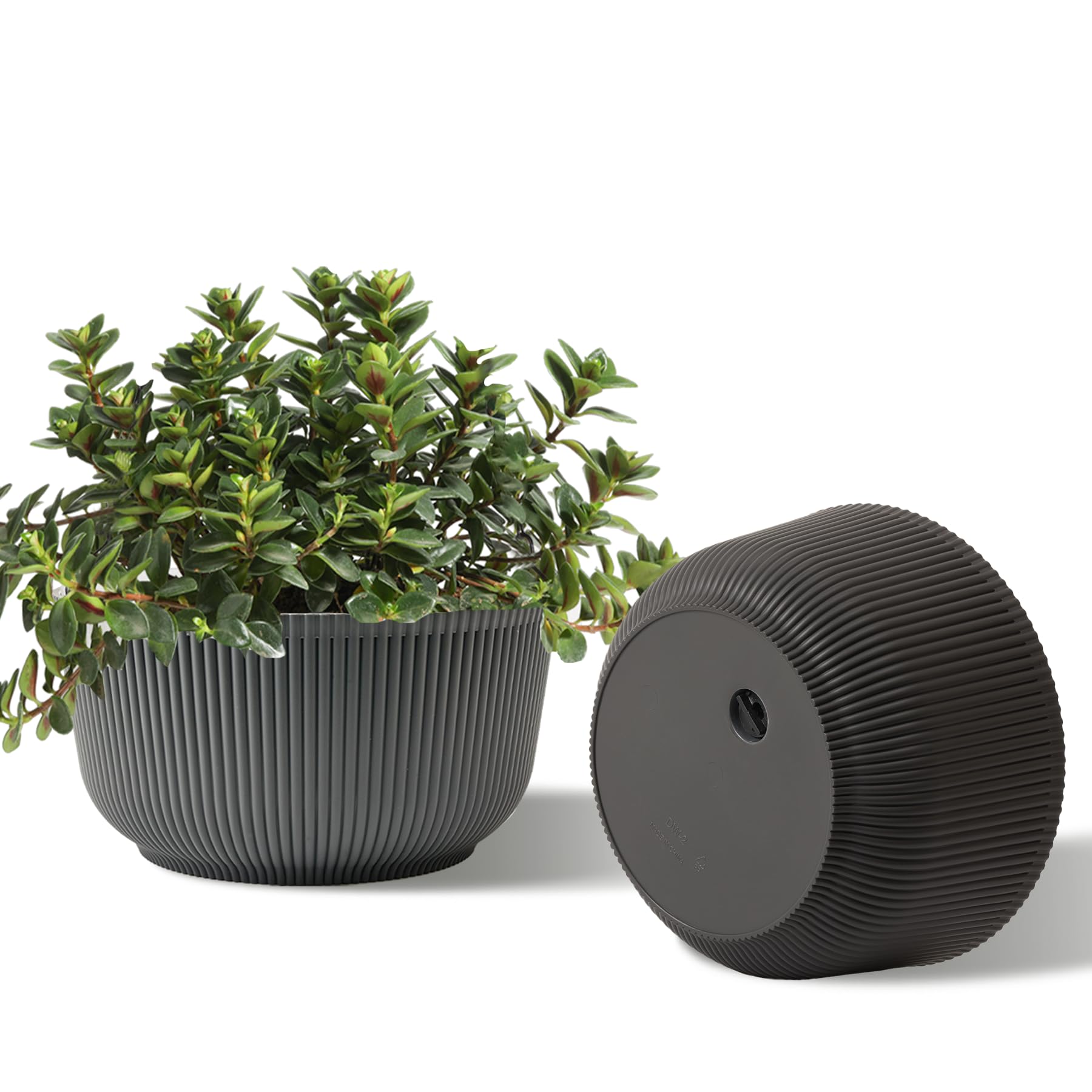 T4U 10 Inch Self Watering Planters, Plant Pots for Indoor and Outdoor Use, Home Decor Flower Pots, Plastic Planters with Drainage Hole & Plug for Plants, Flowers, Cactus, Garden, Set of 2, Gray