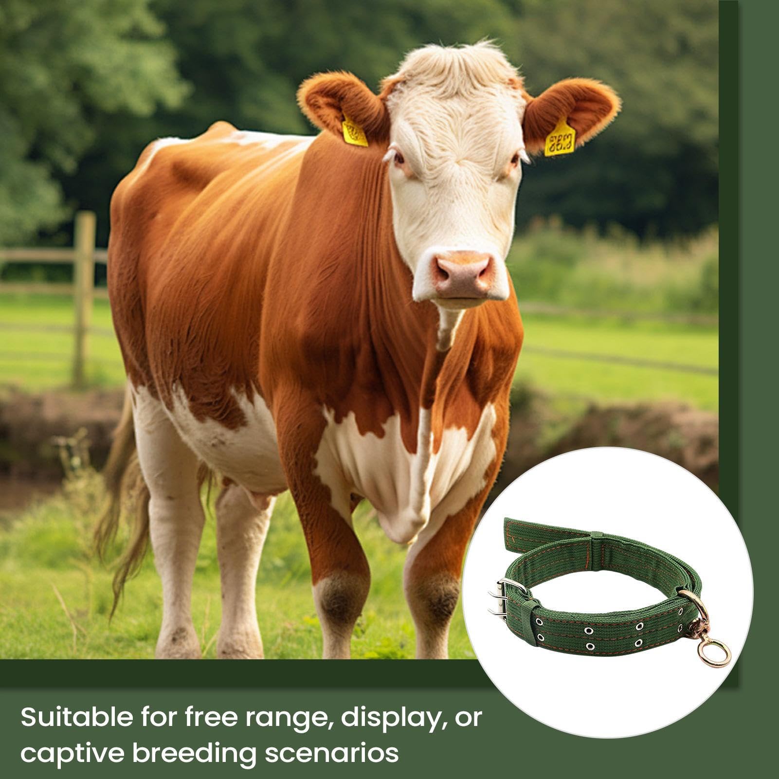 Collier Ajustable Pour Chèvre Animaux De Ferme Équipement De Traction Petit Bétail Chevaux Pâturage Dressage Élevage Transport