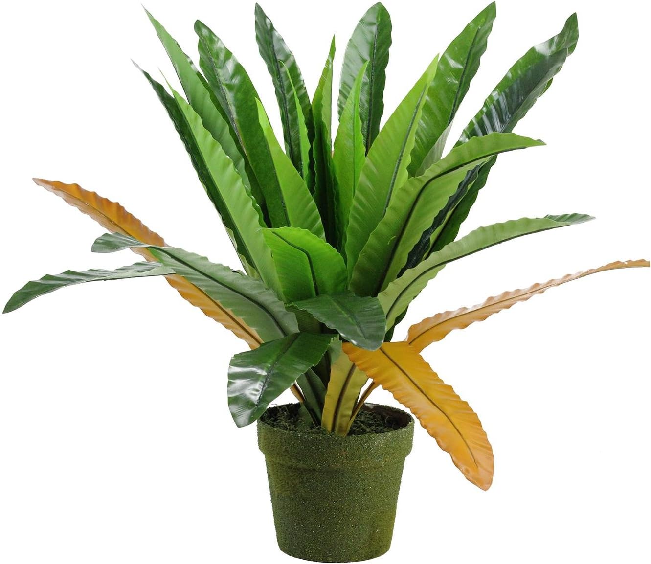 Northlight Decorative Potted Artificial Bird Nest Fern