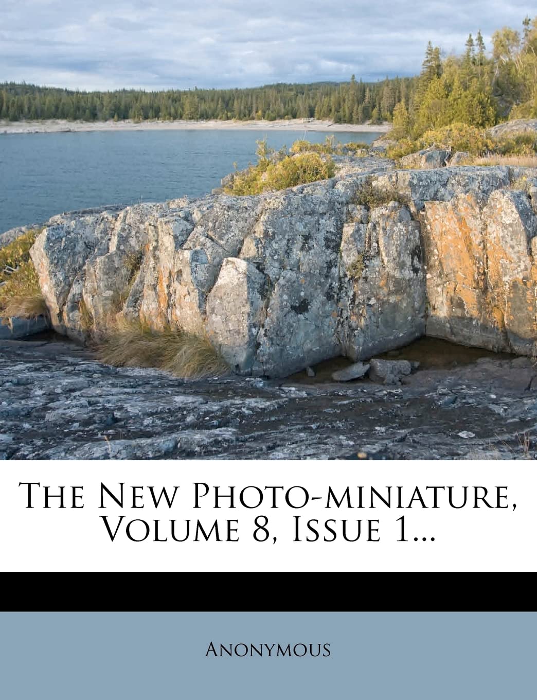 The New Photo-Miniature, Volume 8, Issue 1...