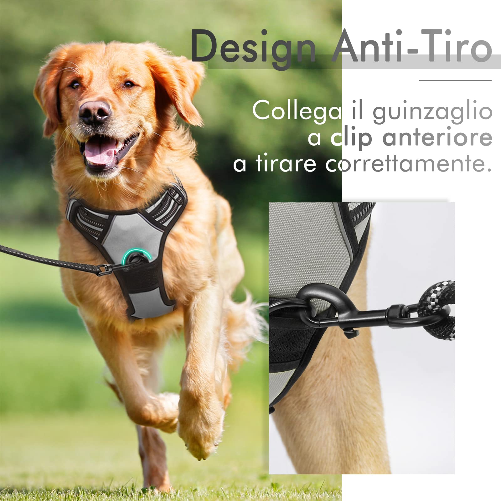 rabbitgoo Pettorina Cane Taglia Grande, Pettorina Cane ad h Regolabile con 2 Ganci in Metallo, Pettorina per Cani Anti Tiro Riflettente, Imbracatura Cani Traspirante per Addestramento(XL, Grigio)