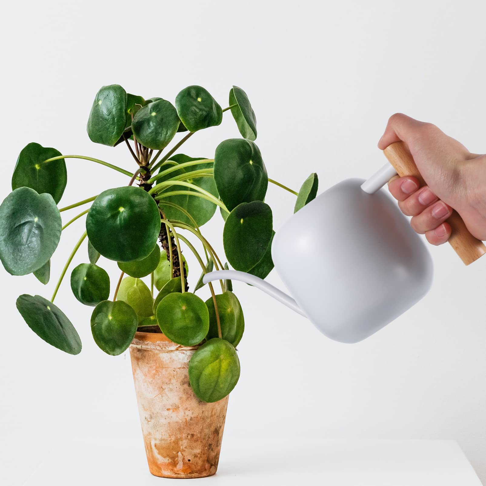 Luxshiny Arrosoir Acier Inoxydable pour Plantes Intérieur Arrosoir Long Bec Ergonomique pour Jardin et Maison