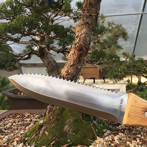 Miniatura 5 de Bonsai Outlet Tinyroots - Cuchillo Hori Hori para jardinería, herramientas de jardín multiusos utilizadas para excavar, cortar y deshierbar, acero