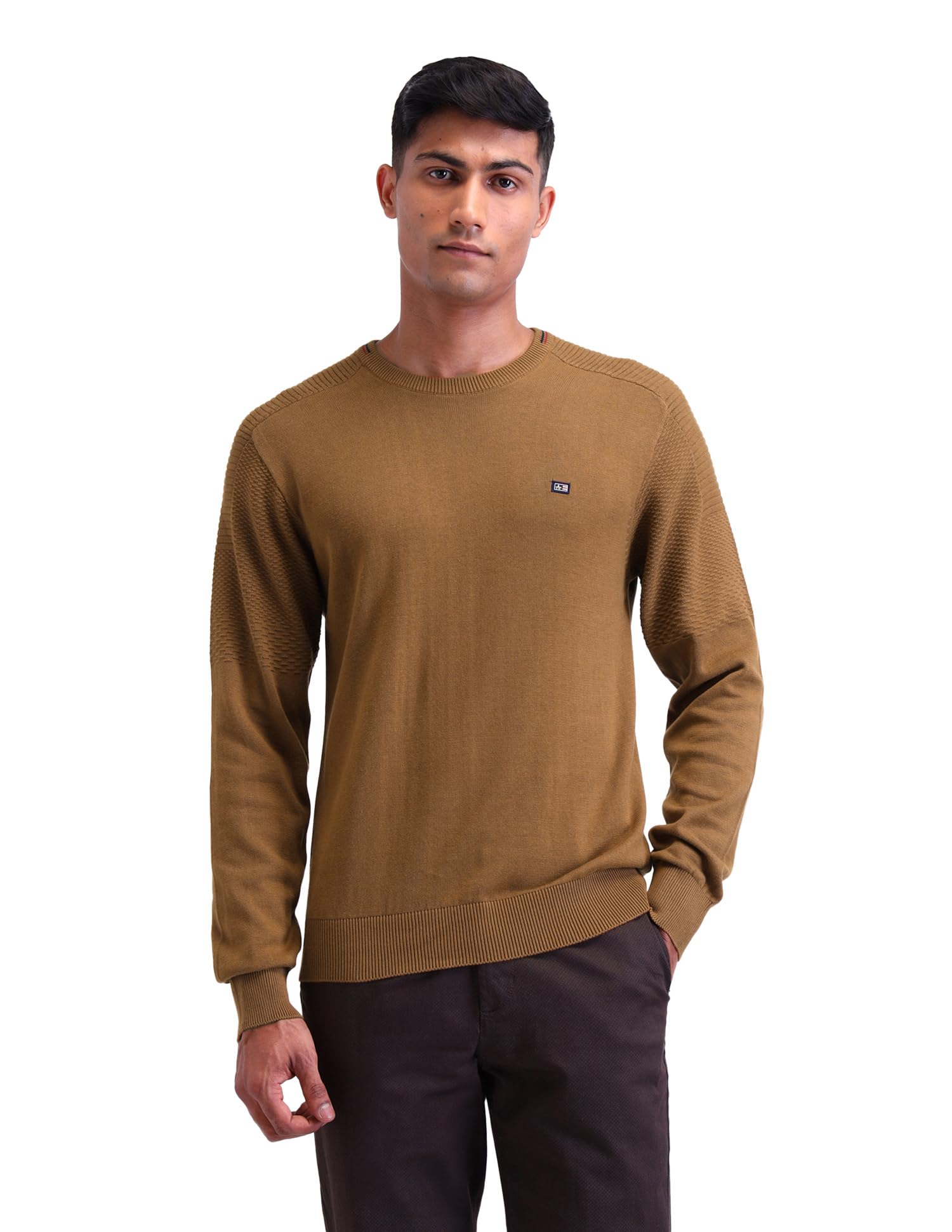 Mens Brown Solid Crew Neck Long Sleeve Casual Cotton Regular Fit Sweater-image-42