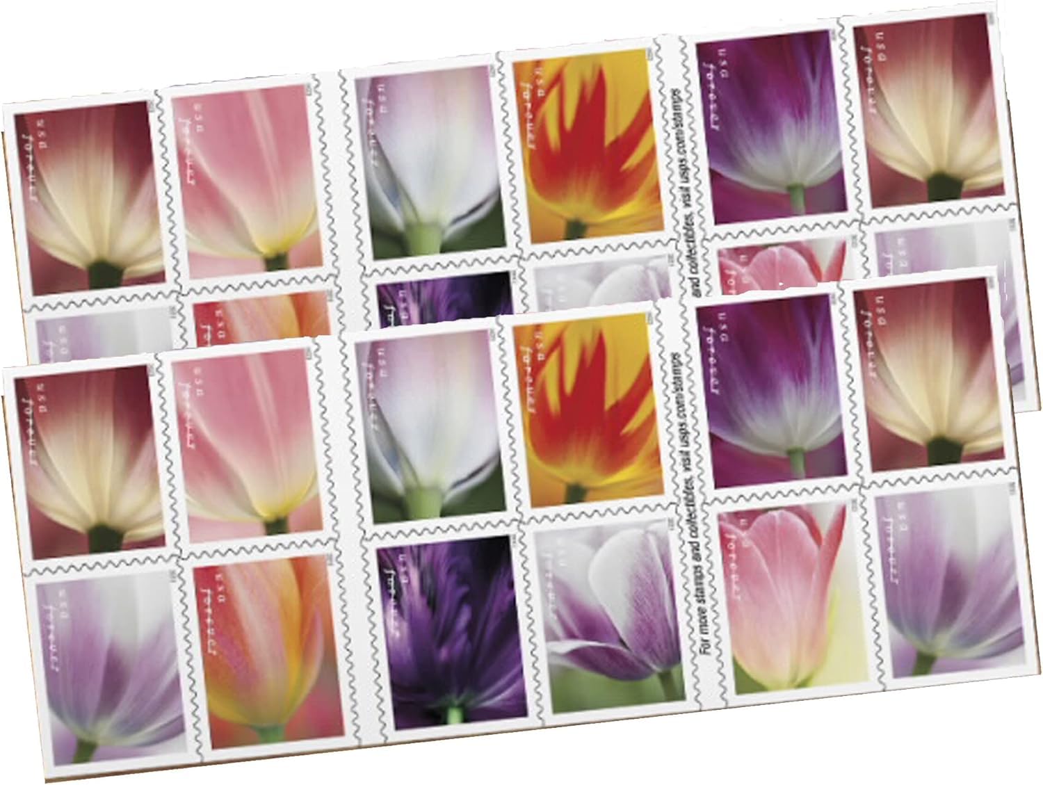 Tulip Blossom Forever Postage Stamp - 2 Books of 20 US First Class Flower Wedding Celebration Party Garden Announcement (40 Stamps)